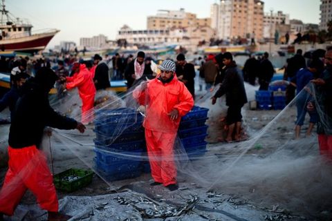 Gaza fishing zone